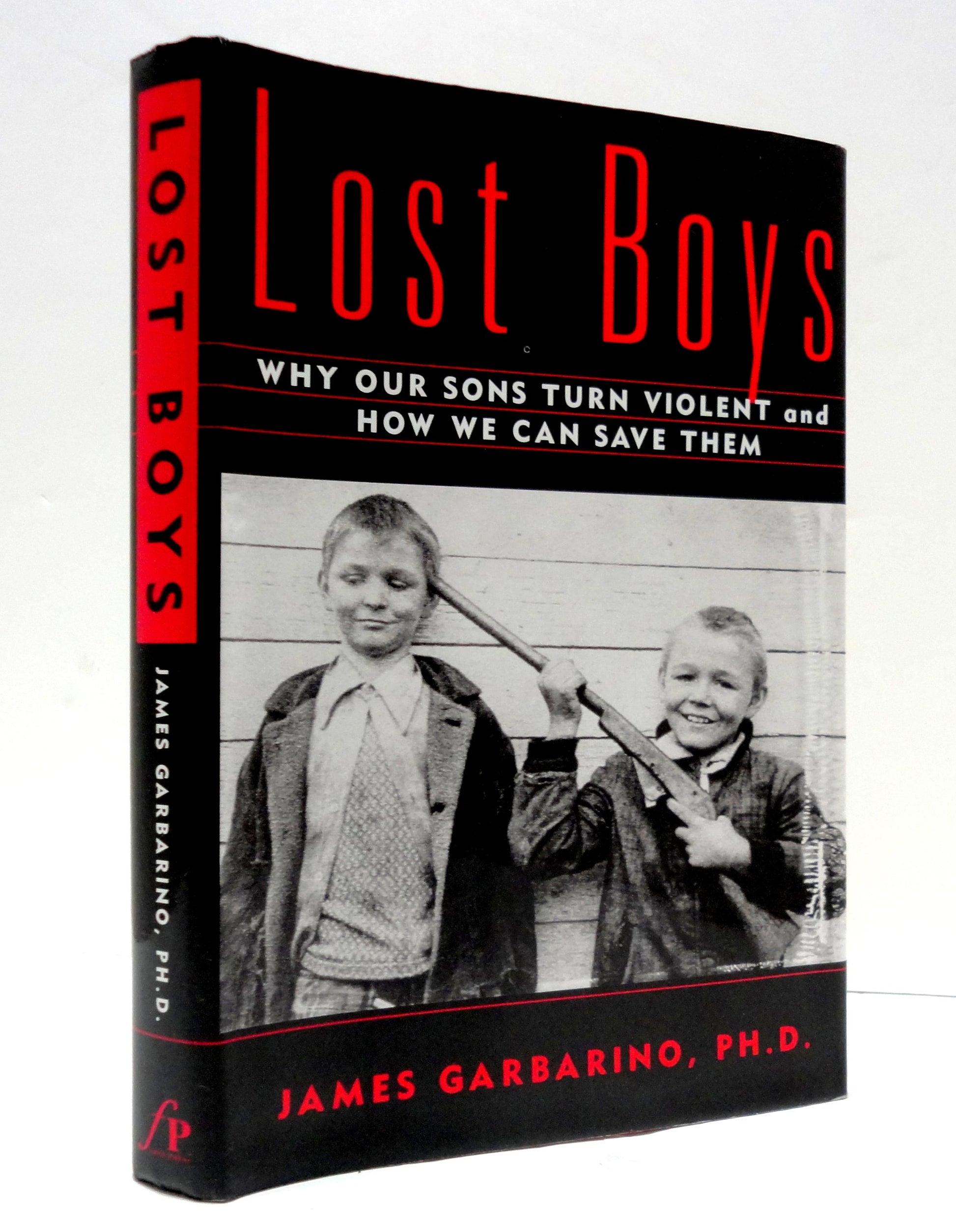 Lost Boys: Why Our Sons Turn Violent and How We Can Save Them (Anchor Books) book cover