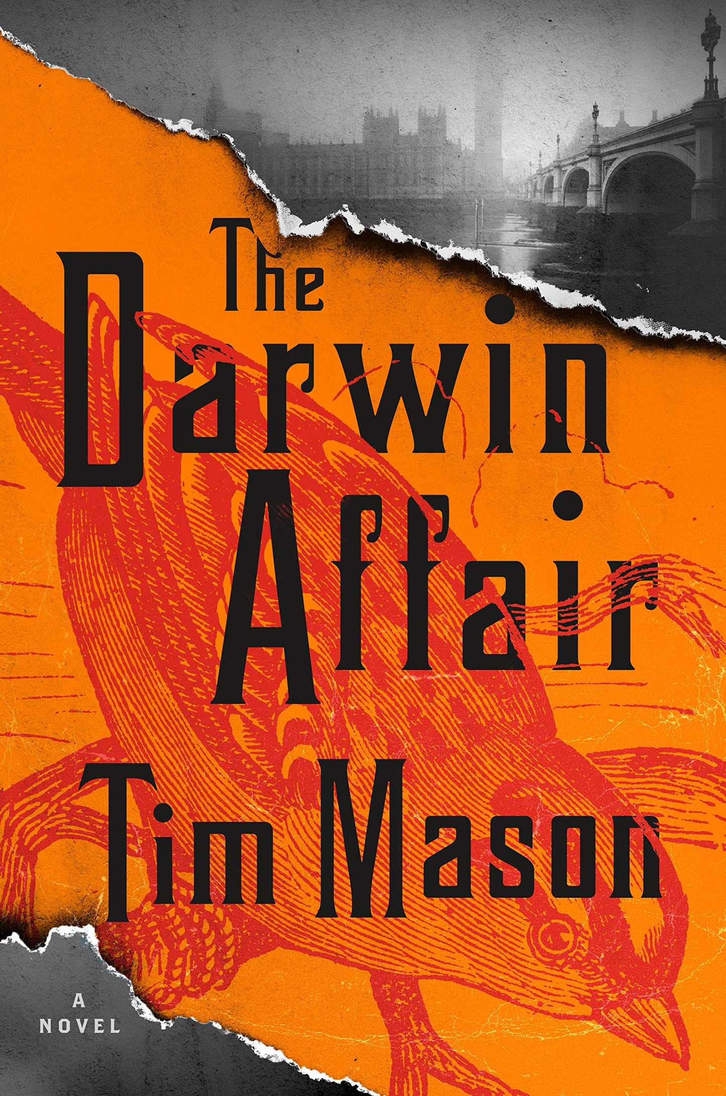 Darwin Affair book cover
