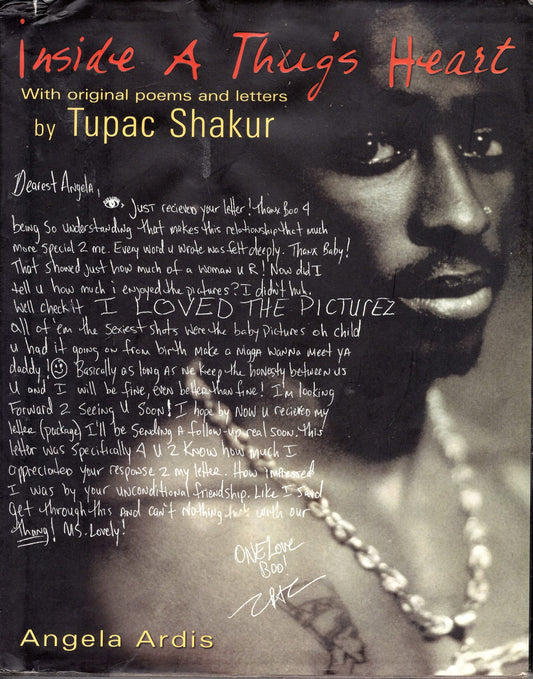 Inside a Thug's Heart book cover