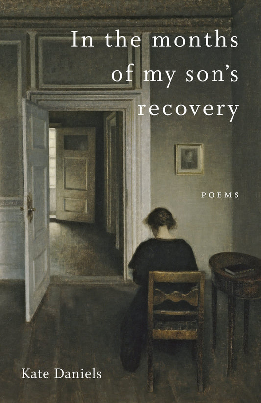 In the Months of My Son's Recovery: Poems book cover