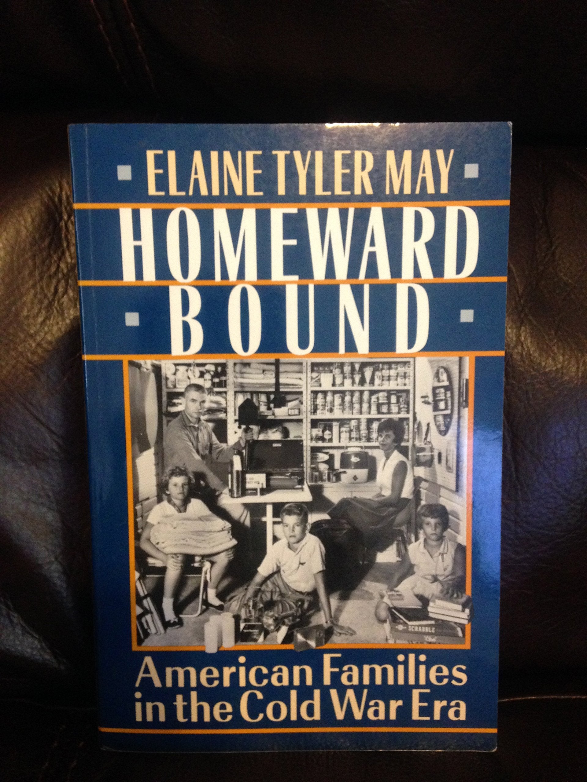 Homeward Bound: American Families in the Cold War Era book cover