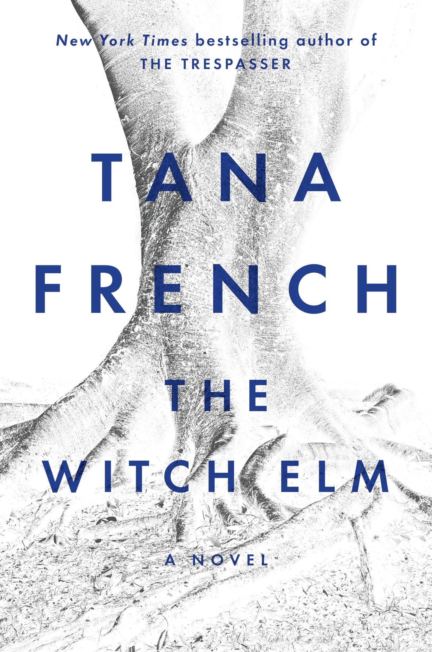 Witch Elm book cover