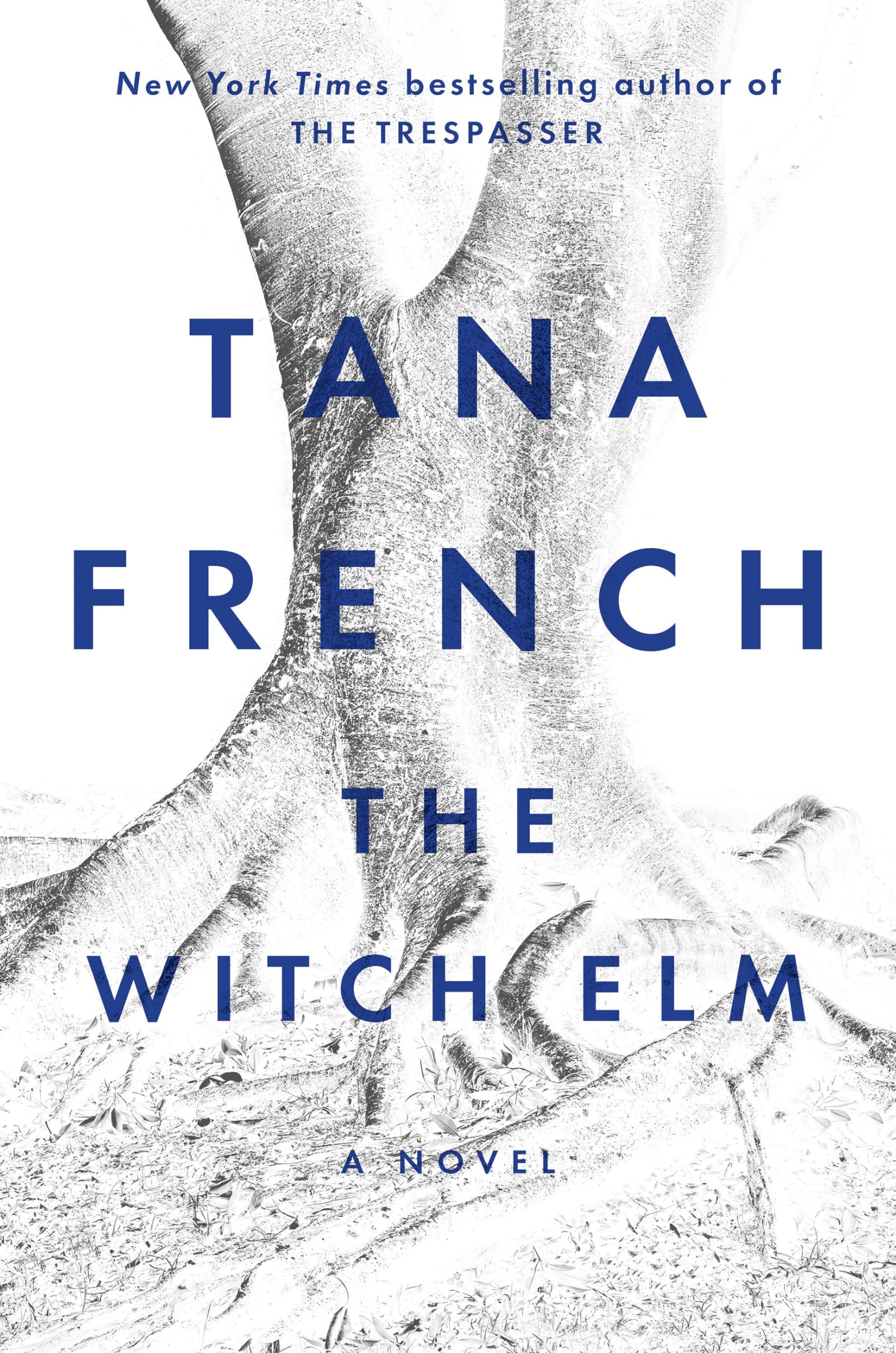 Witch Elm book cover