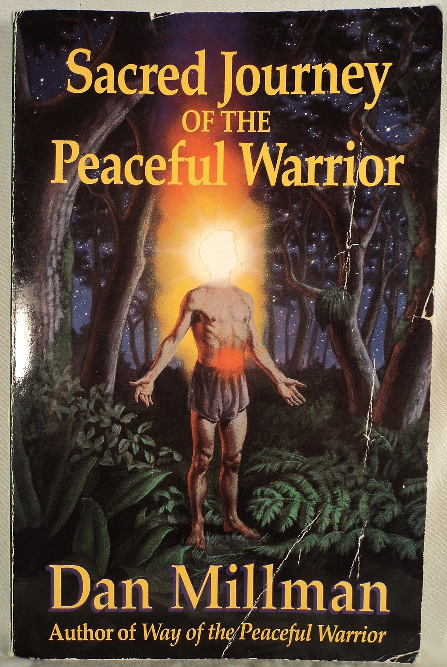 Sacred Journey of the Peaceful Warrior: Teachings from the Lost Years book cover