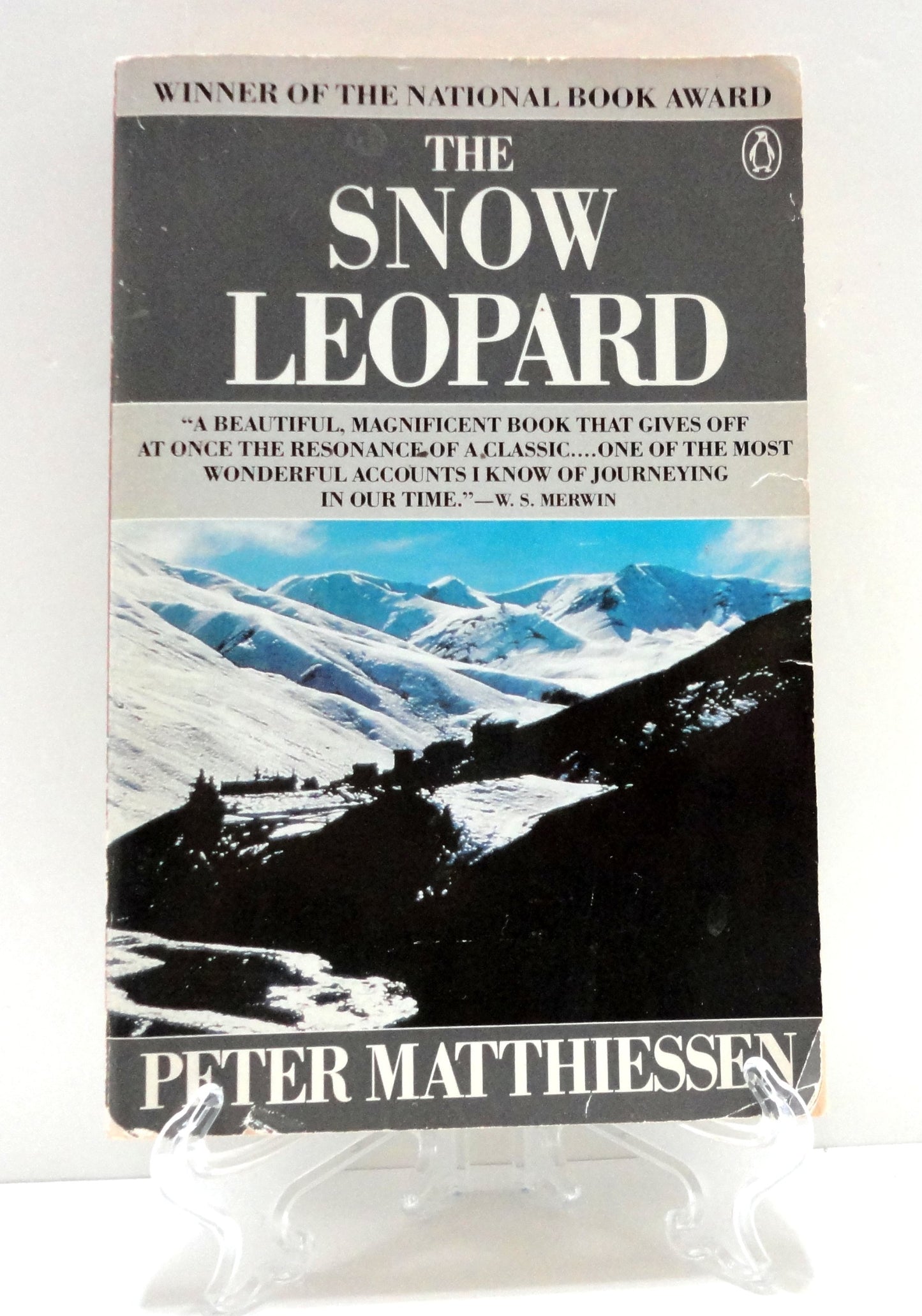 Snow Leopard