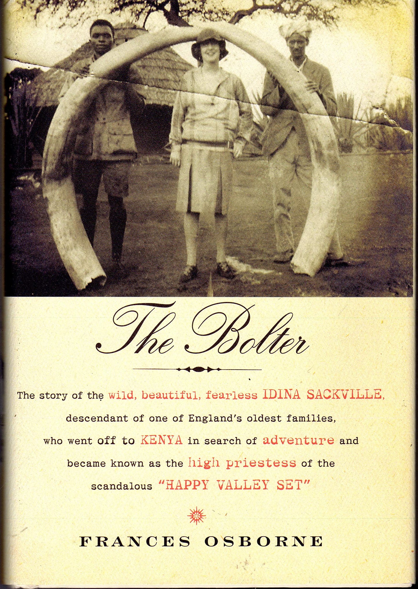 Bolter book cover