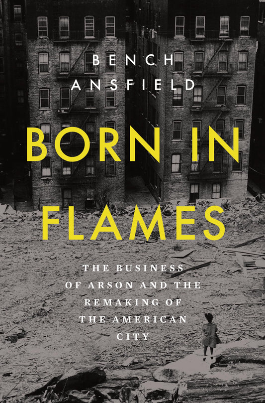 Born in Flames book cover