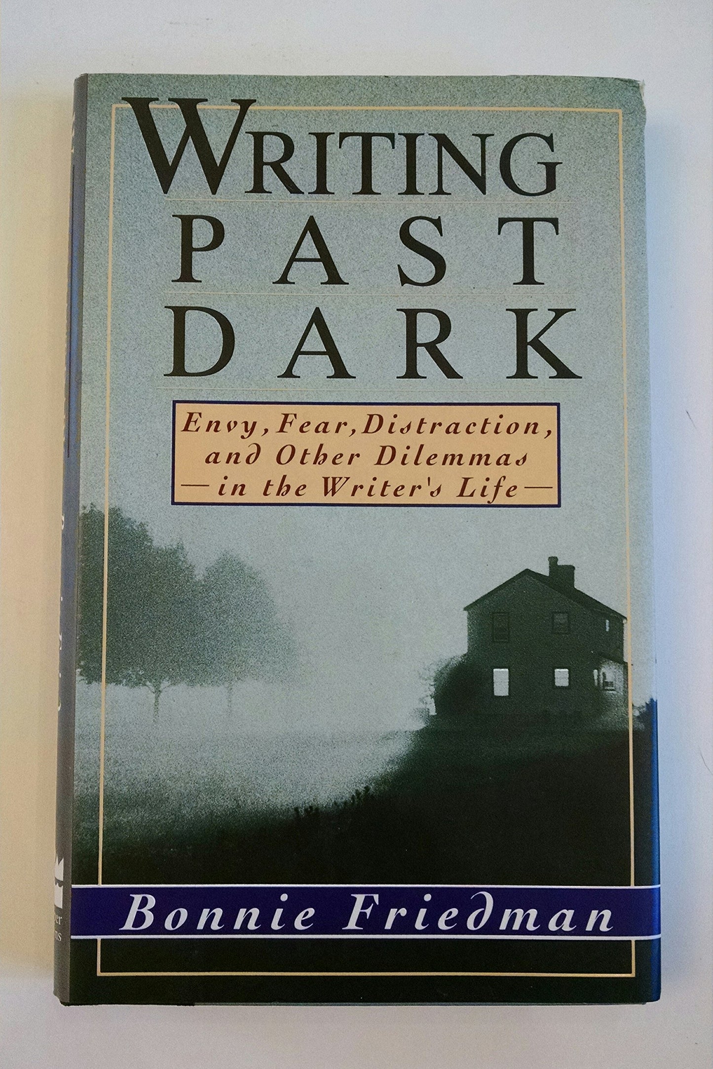 Writing Past Dark: Envy, Fear, Distraction, and Other Dilemmas in the Writer's Life book cover