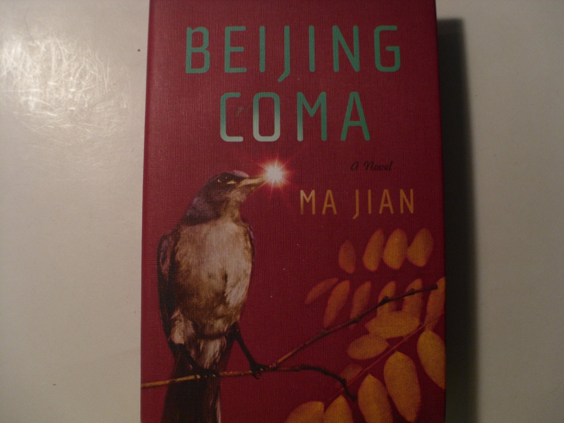 Beijing Coma book cover