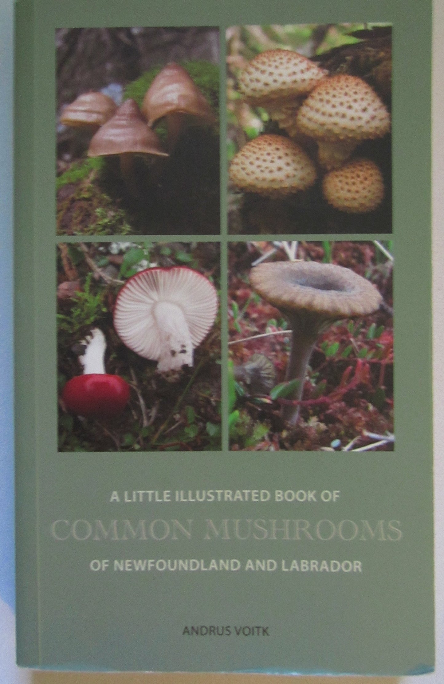 A Little Illustrated Book of Common Mushrooms of Newfoundland and Labrador book cover