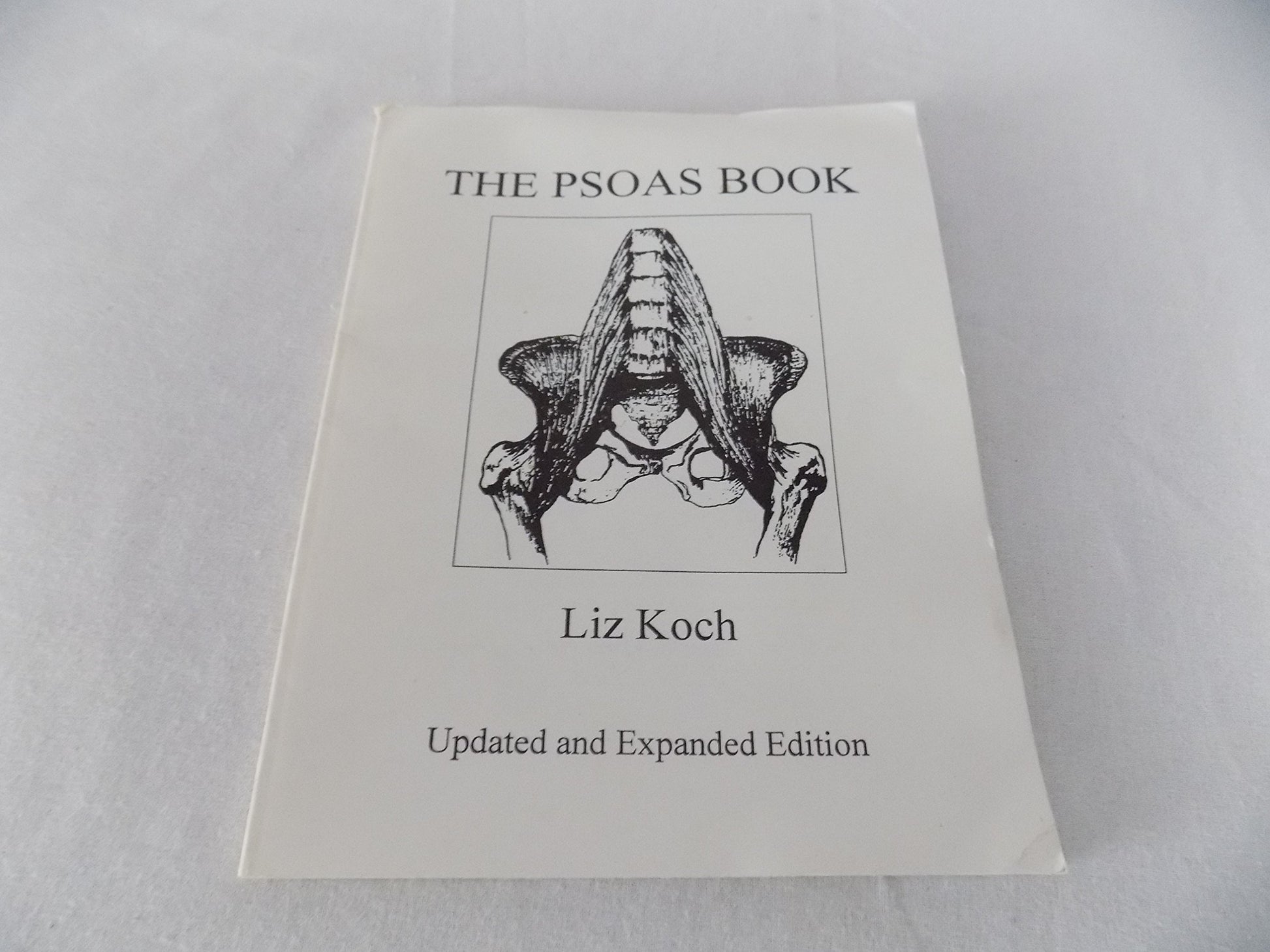 The Psoas Book book cover