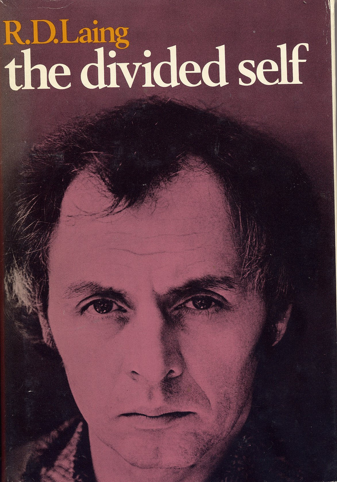 Divided Self book cover