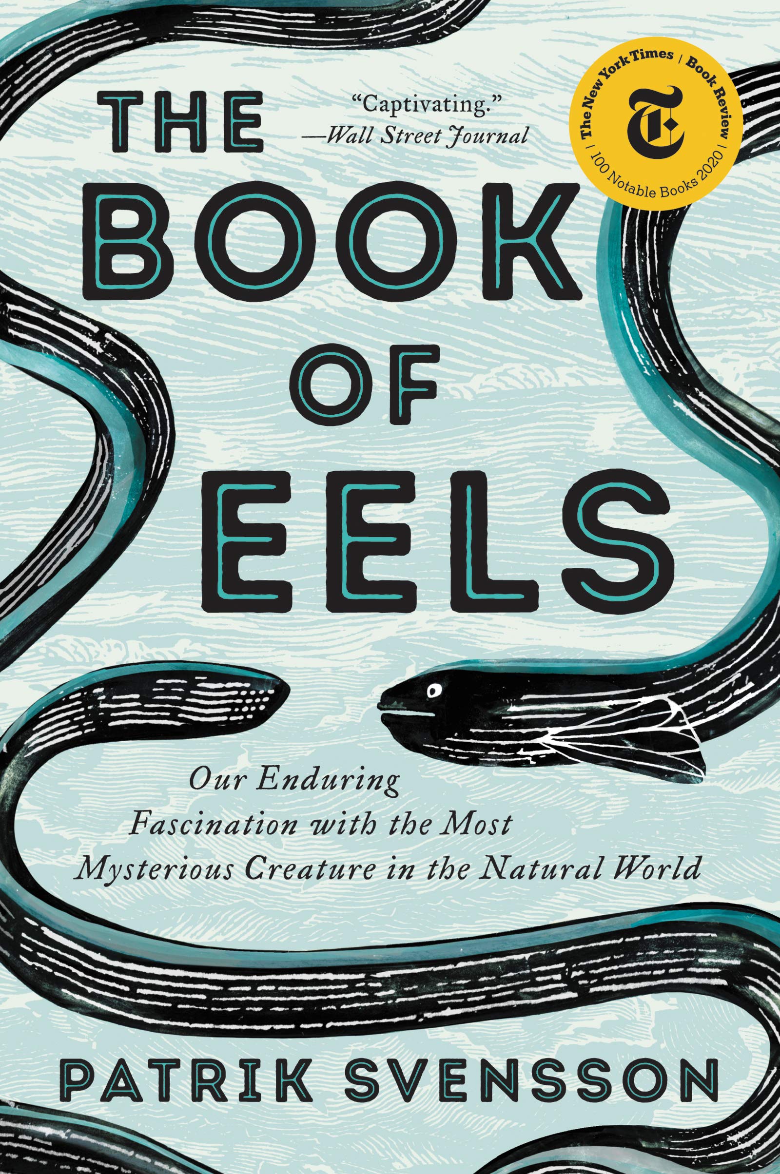 Book of Eels book cover