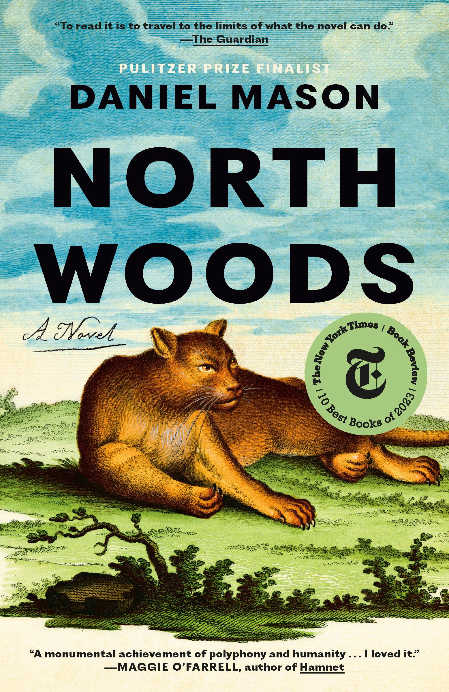 North Woods: A Novel book cover