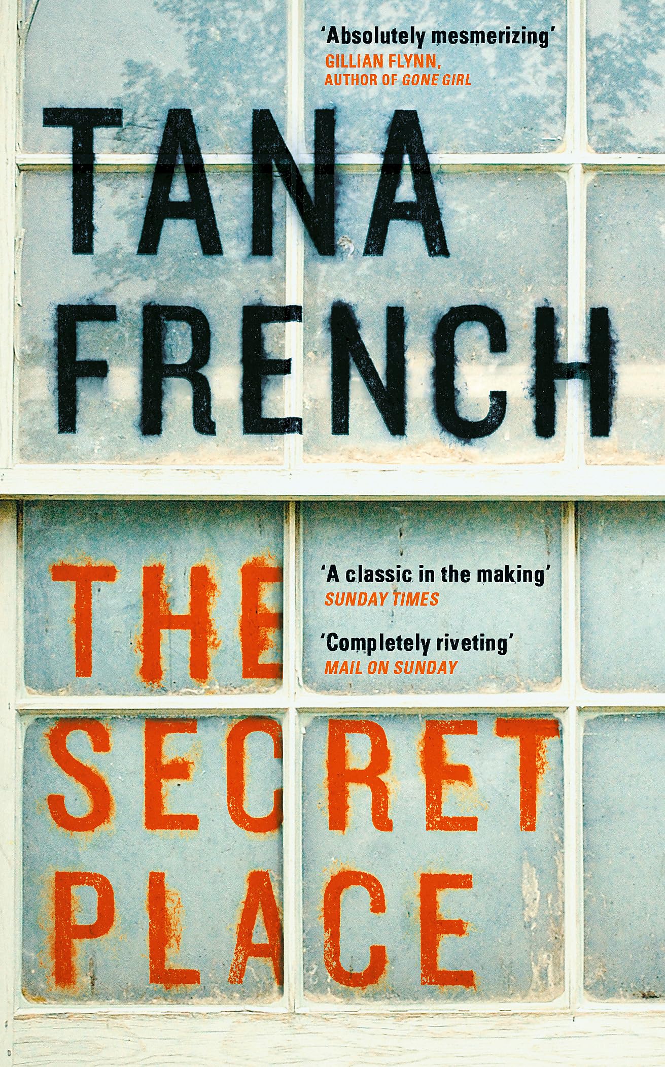 The Secret Place: Dublin Murder Squad: 5 book cover