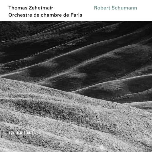Robert Schumann book cover