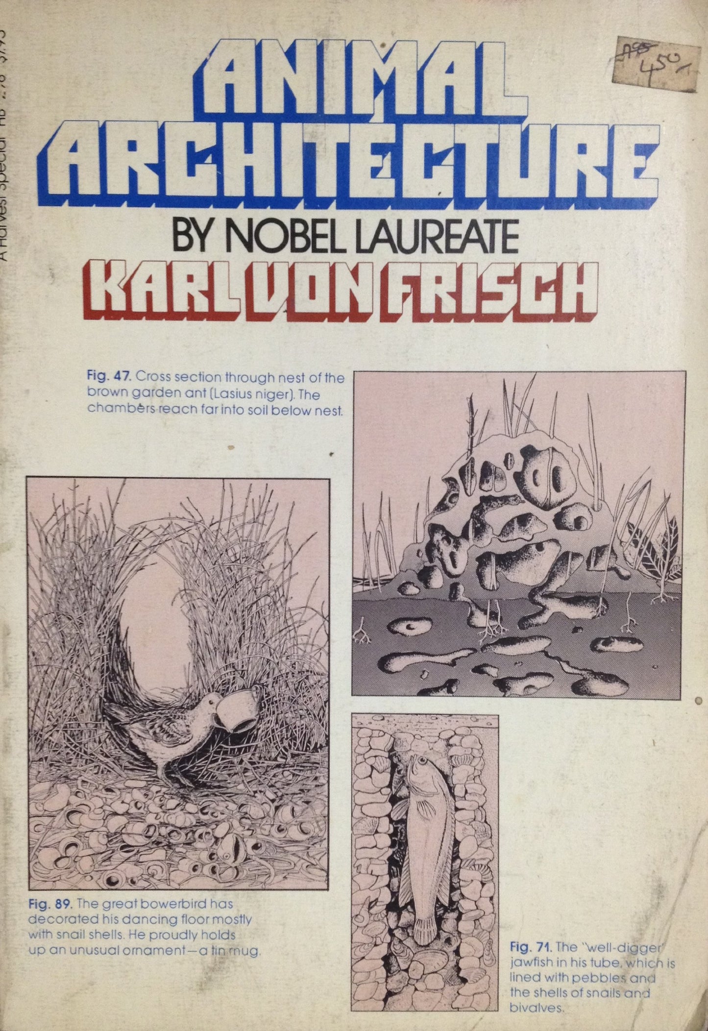 Animal Architecture book cover