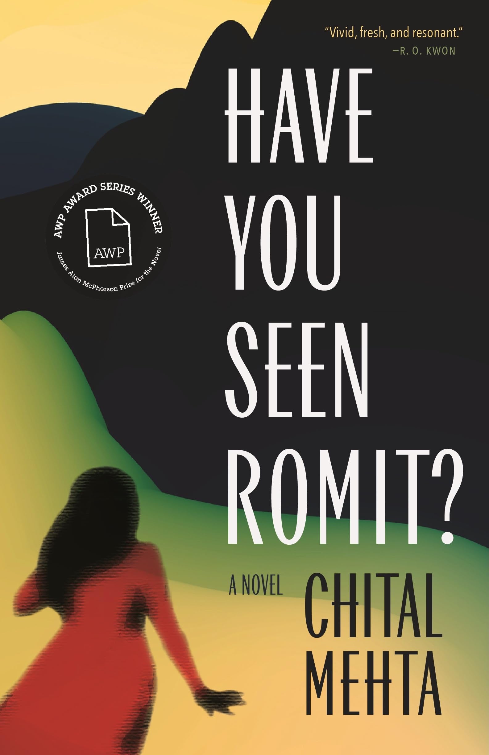 Have You Seen Romit? book cover
