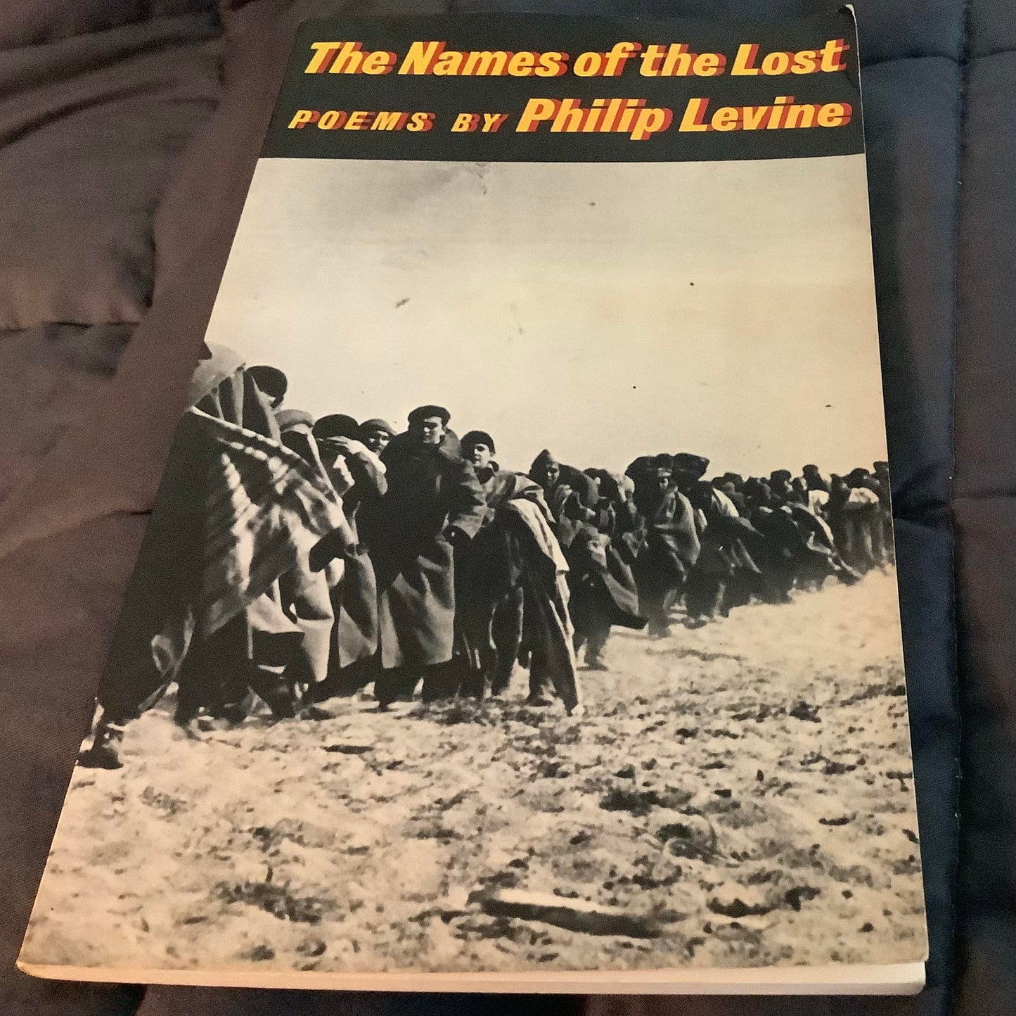 Names of the Lost: Poems book cover