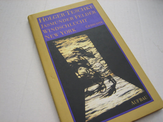 Jasmunder Felder, Windschlucht New York: Gedichte (German Edition) book cover