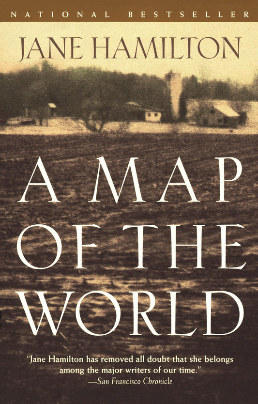 Map of the World book cover