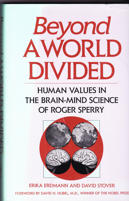 Beyond a World Divided