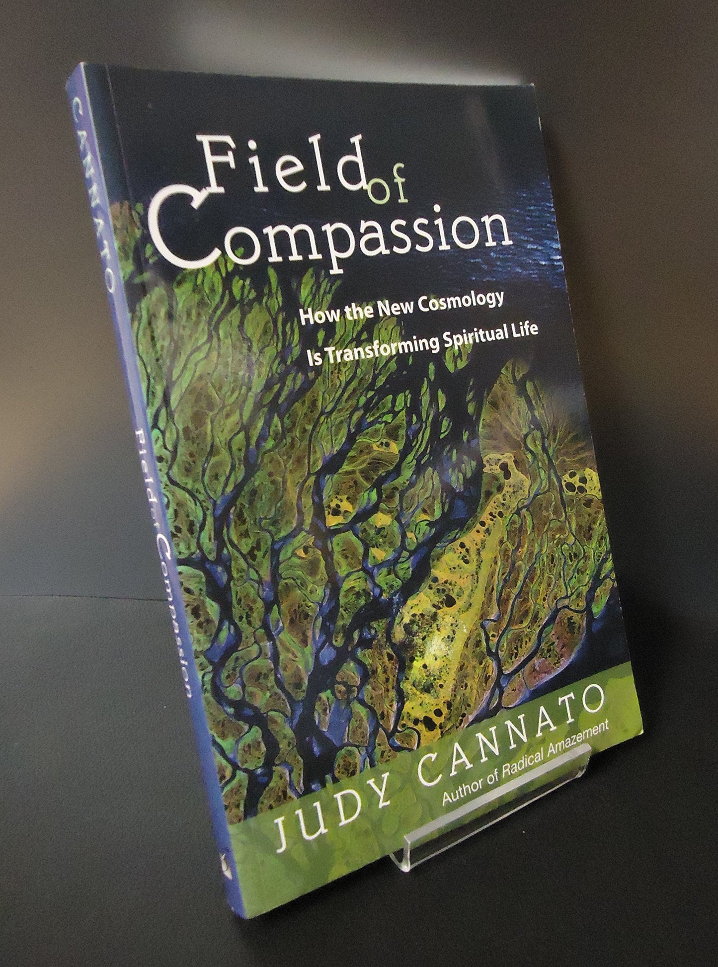 Field of Compassion: How the New Cosmology Is Transforming Spiritual Life book cover