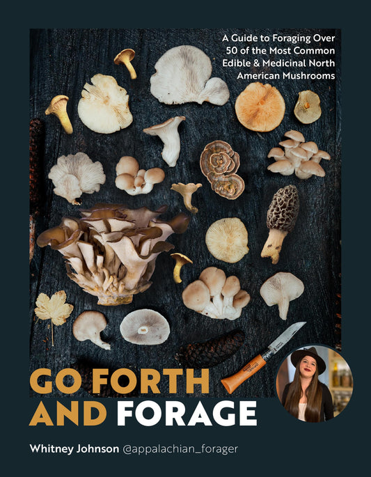 Go Forth and Forage book cover