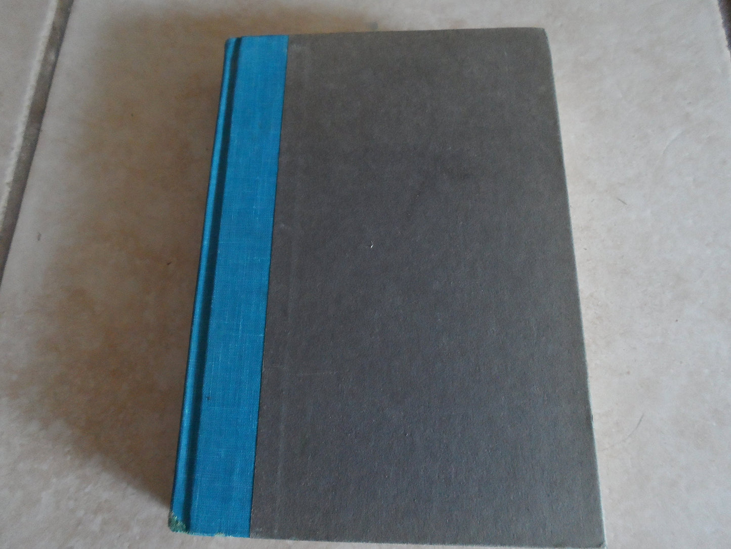 Saturday Afternoon at the Bijou, book cover