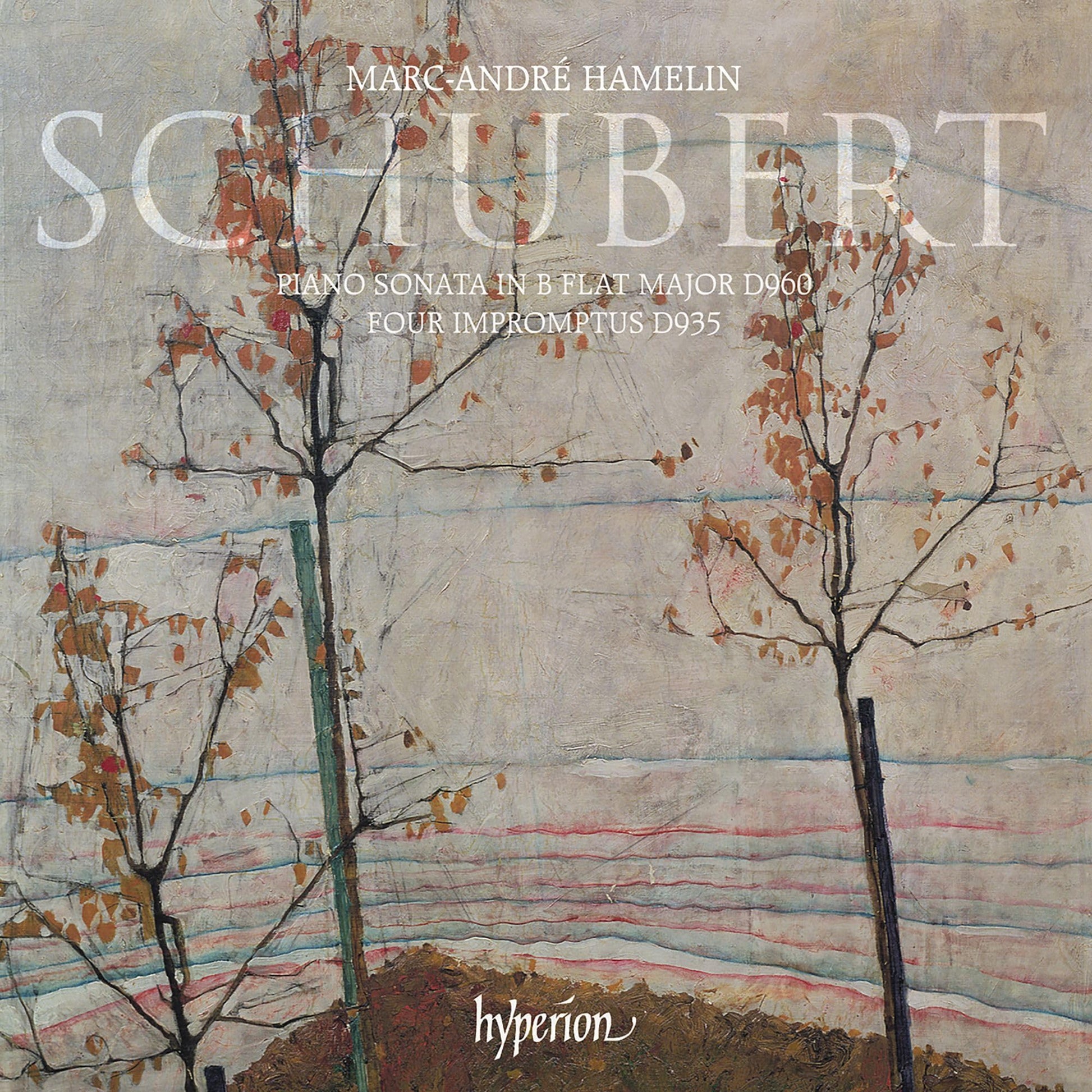 Schubert: Piano Sonata & Impromptus book cover