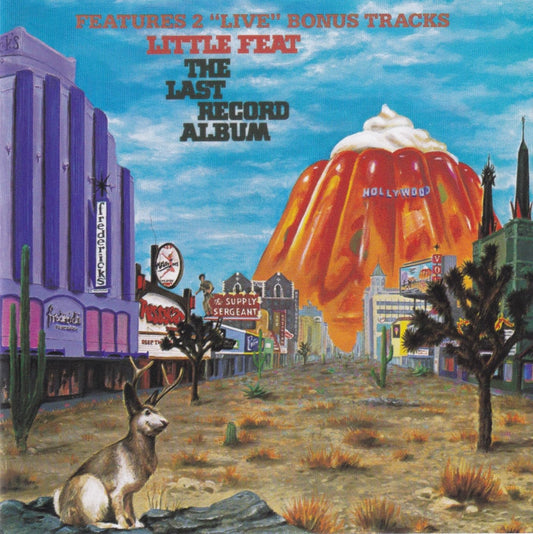 Last Record Album (Imported) book cover