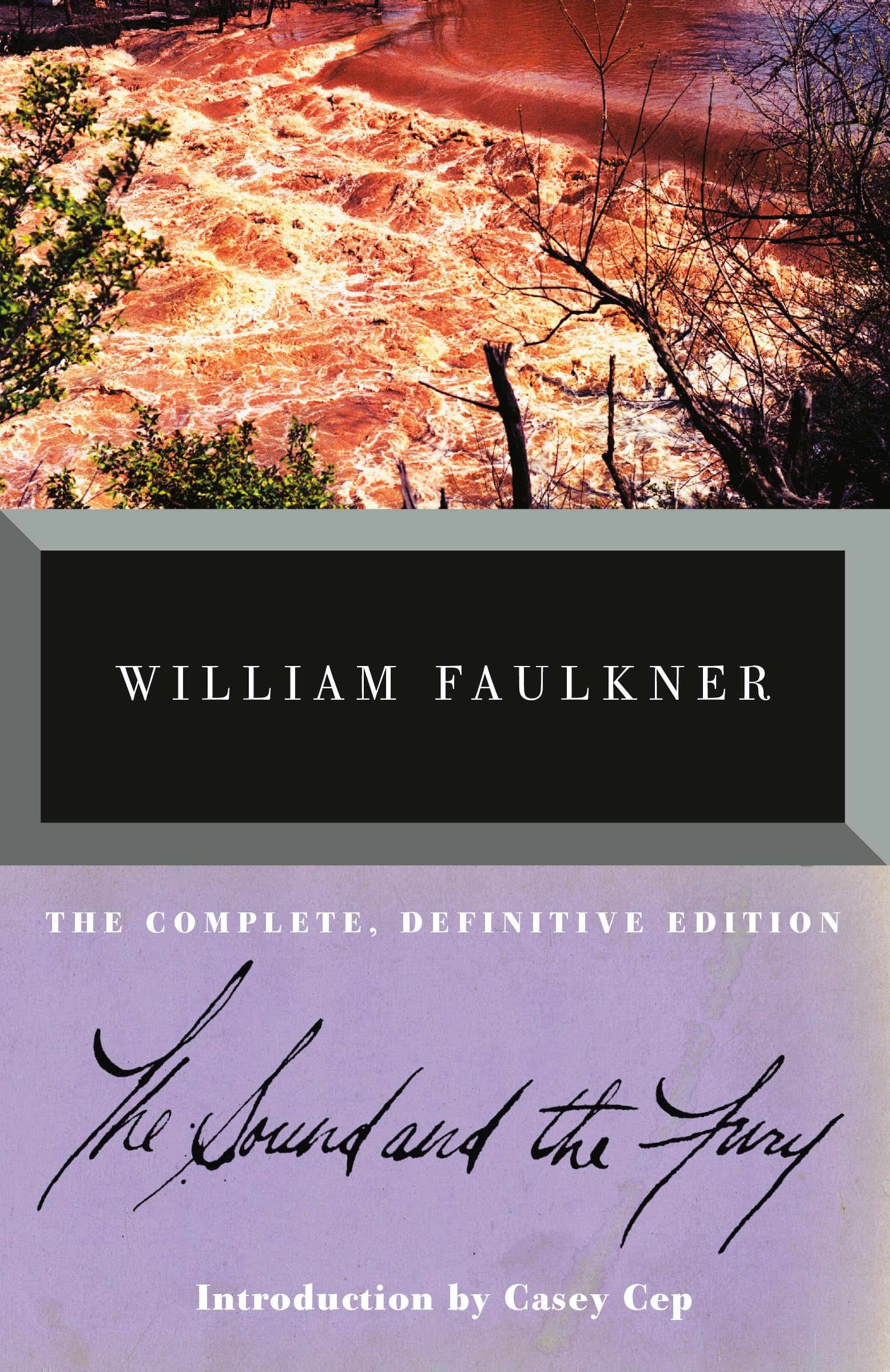 Sound and the Fury book cover
