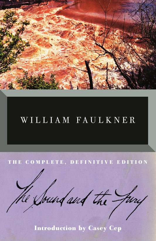 Sound and the Fury book cover
