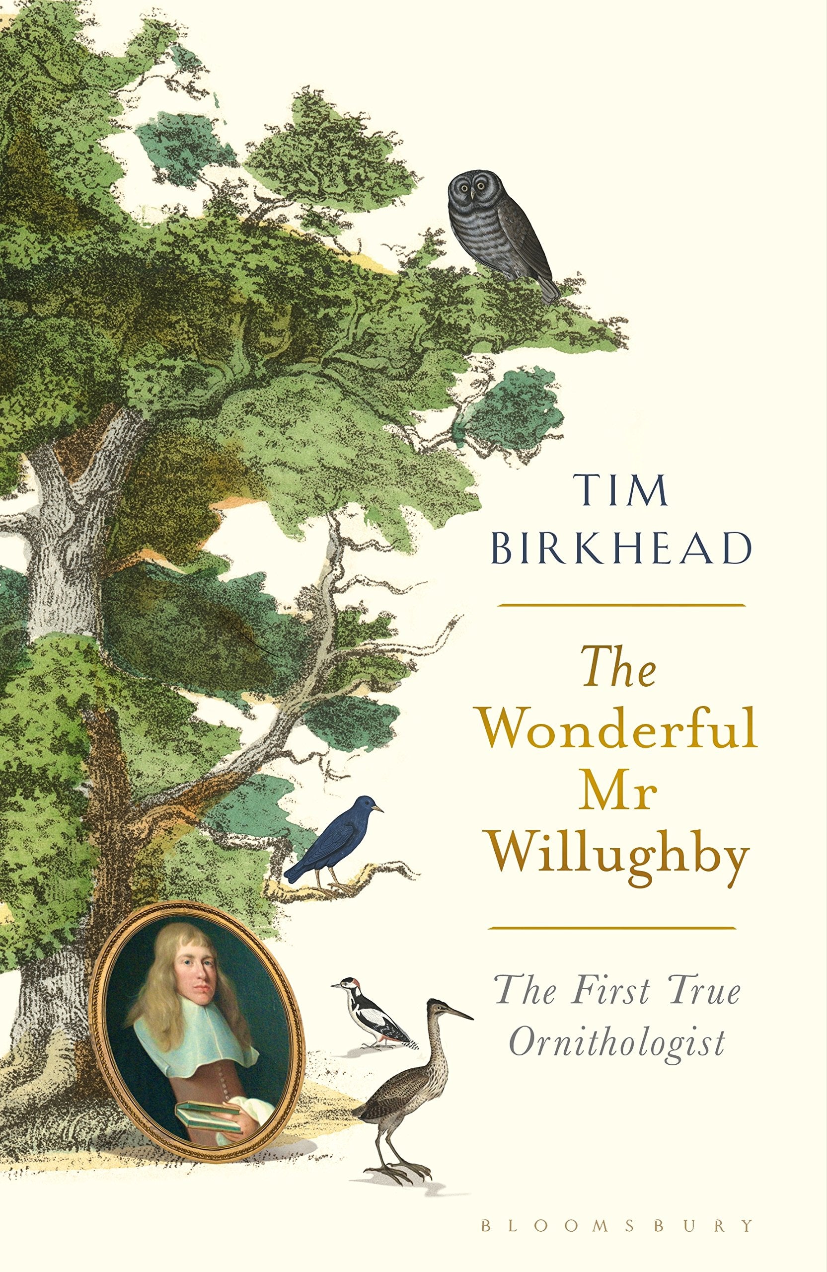 Wonderful MR Willughby: The First True Ornithologist book cover
