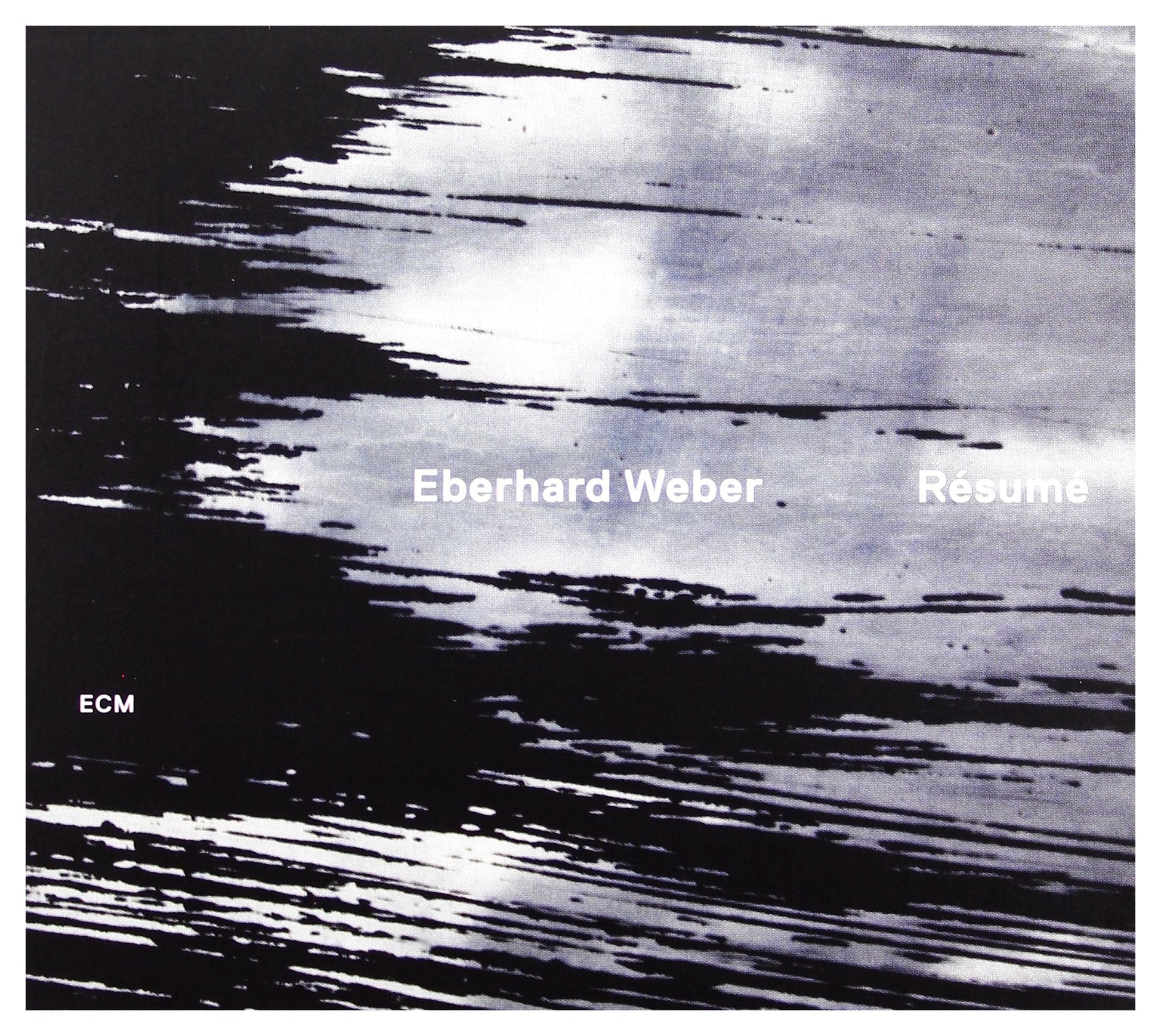 Resume book cover