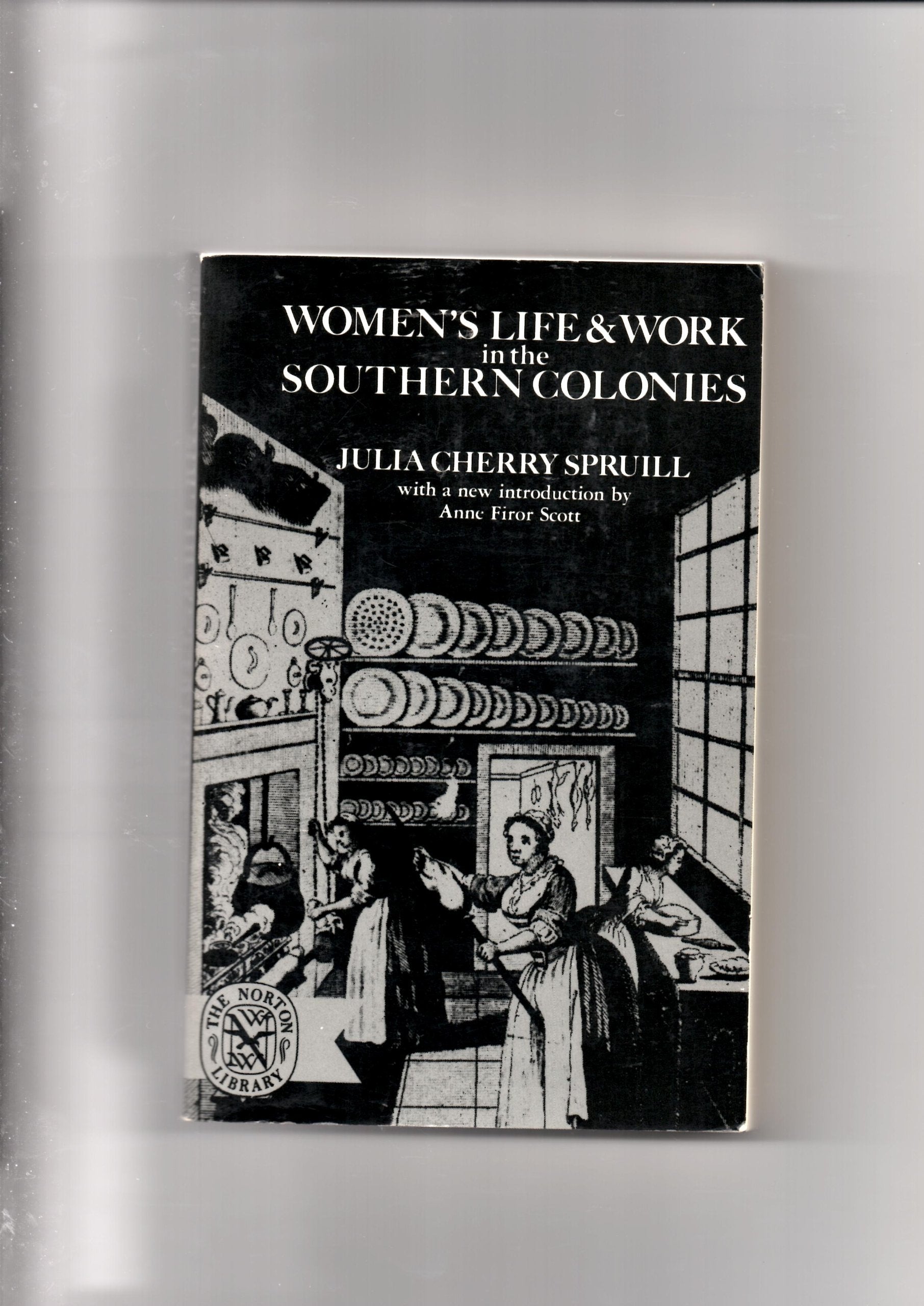 Women's Life and Work in the Southern Colonies book cover