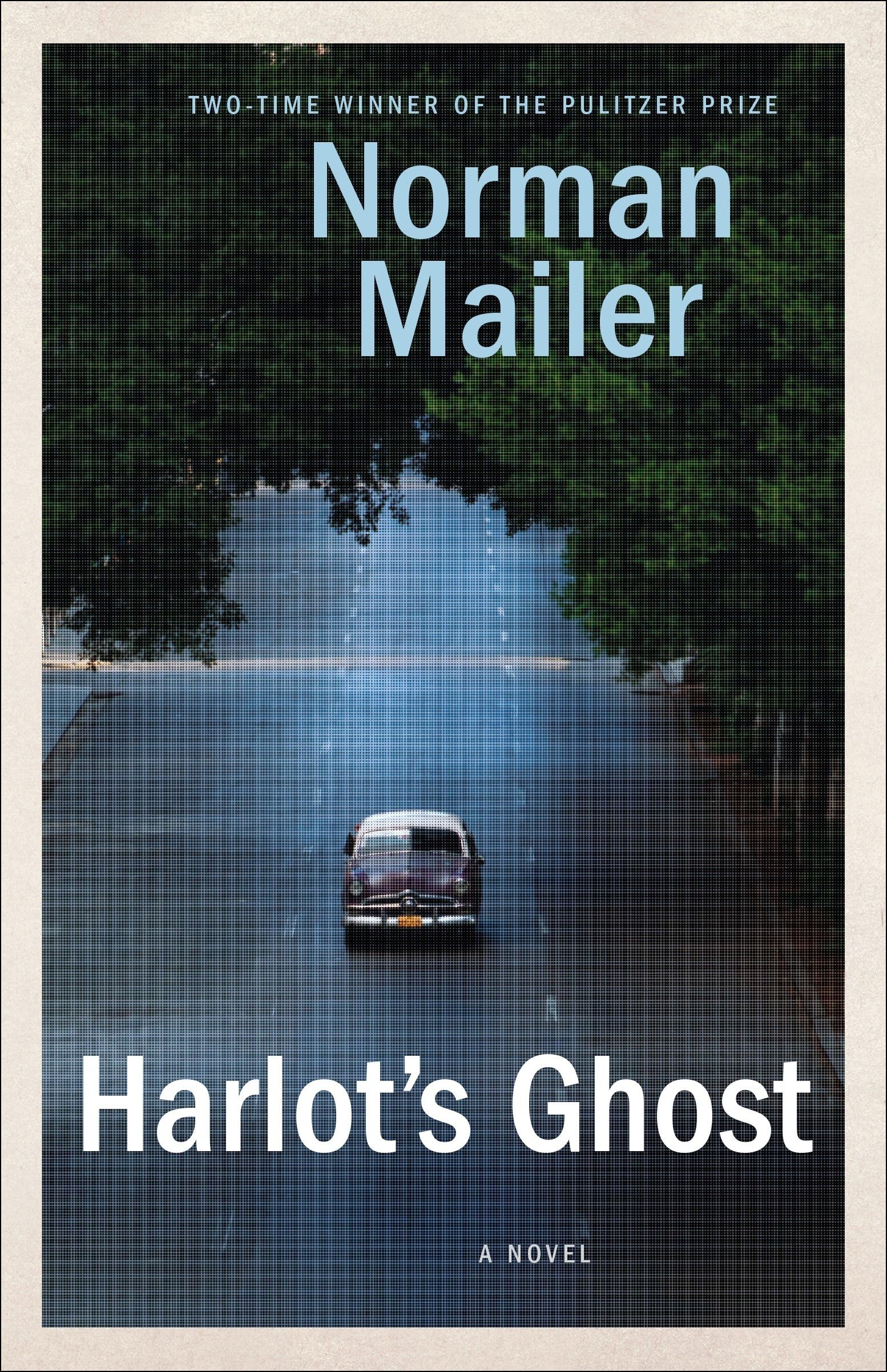 Harlot's Ghost book cover
