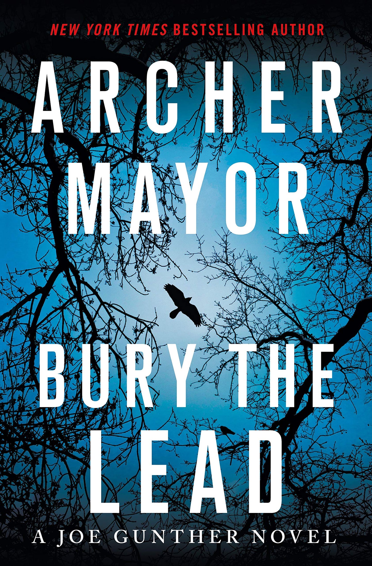 Bury the Lead: A Joe Gunther Novel