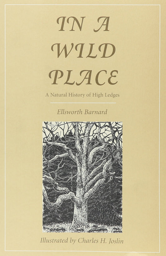 In a Wild Place: A Natural History of High Ledges book cover