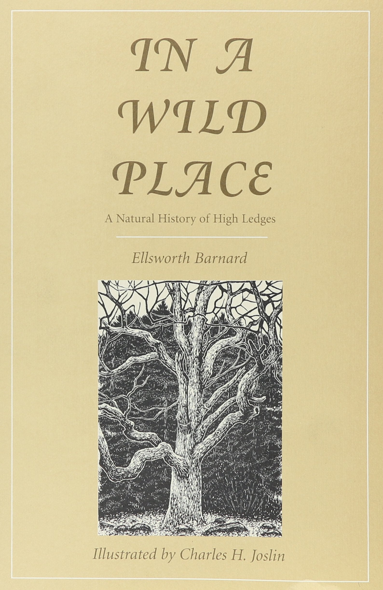 In a Wild Place: A Natural History of High Ledges book cover