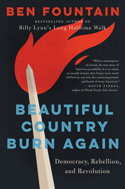 Beautiful Country Burn Again: Democracy, Rebellion, and Revolution book cover