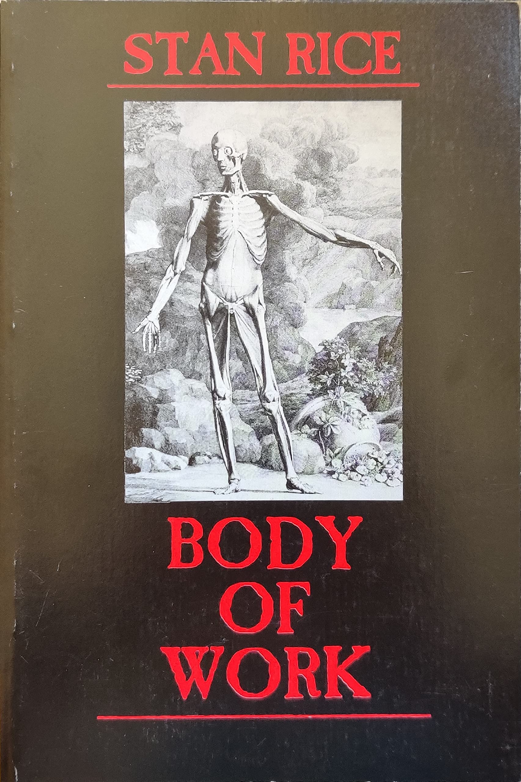 Body of Work book cover