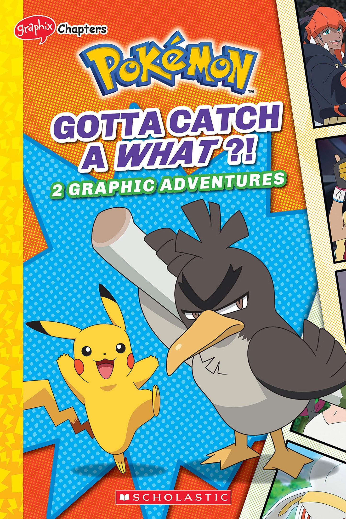 Gotta Catch a What?! (Pokémon: Graphic Collection) book cover