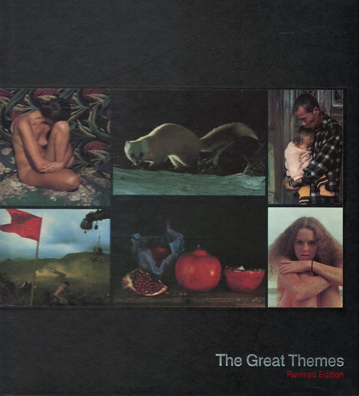 Great Themes (Rev) book cover