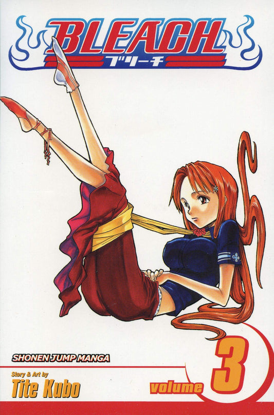 Bleach, Volume 3 book cover