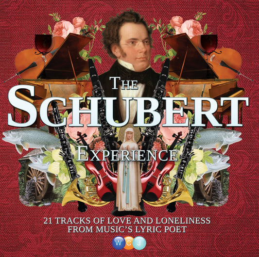 Schubert Experience (Imported) book cover