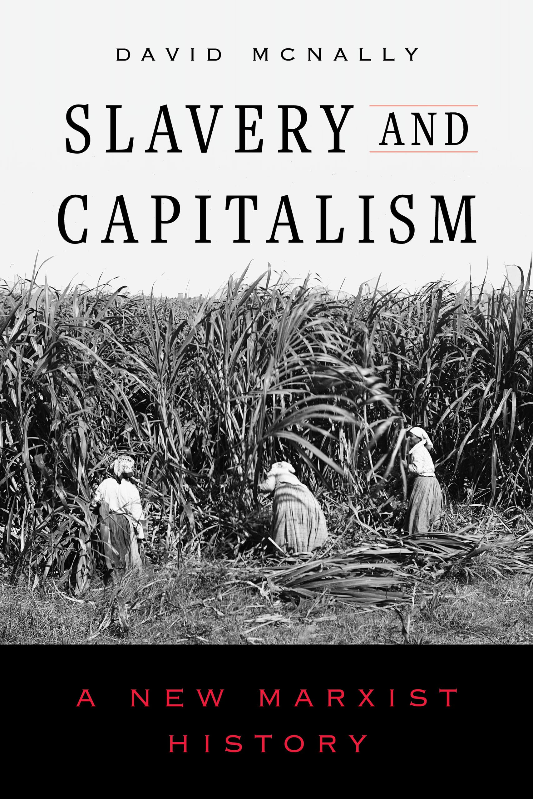 Slavery and Capitalism: A New Marxist History book cover