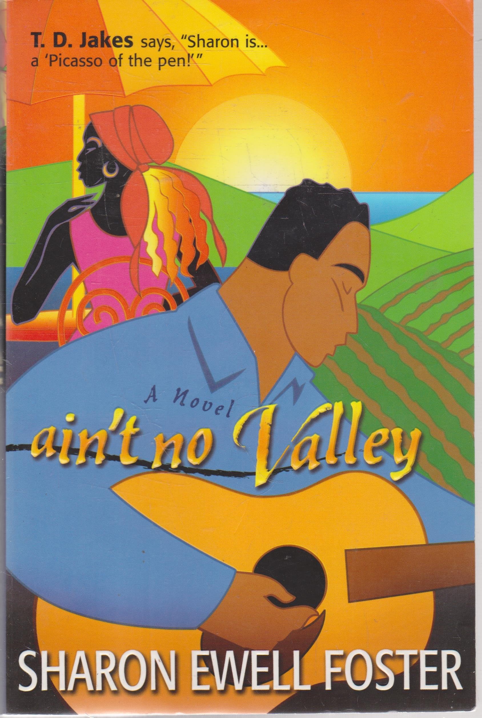 Ain't No Valley book cover