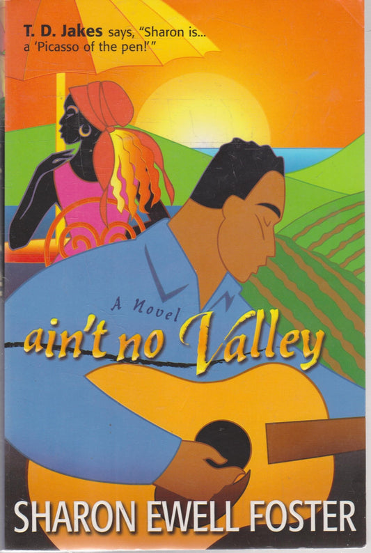Ain't No Valley book cover