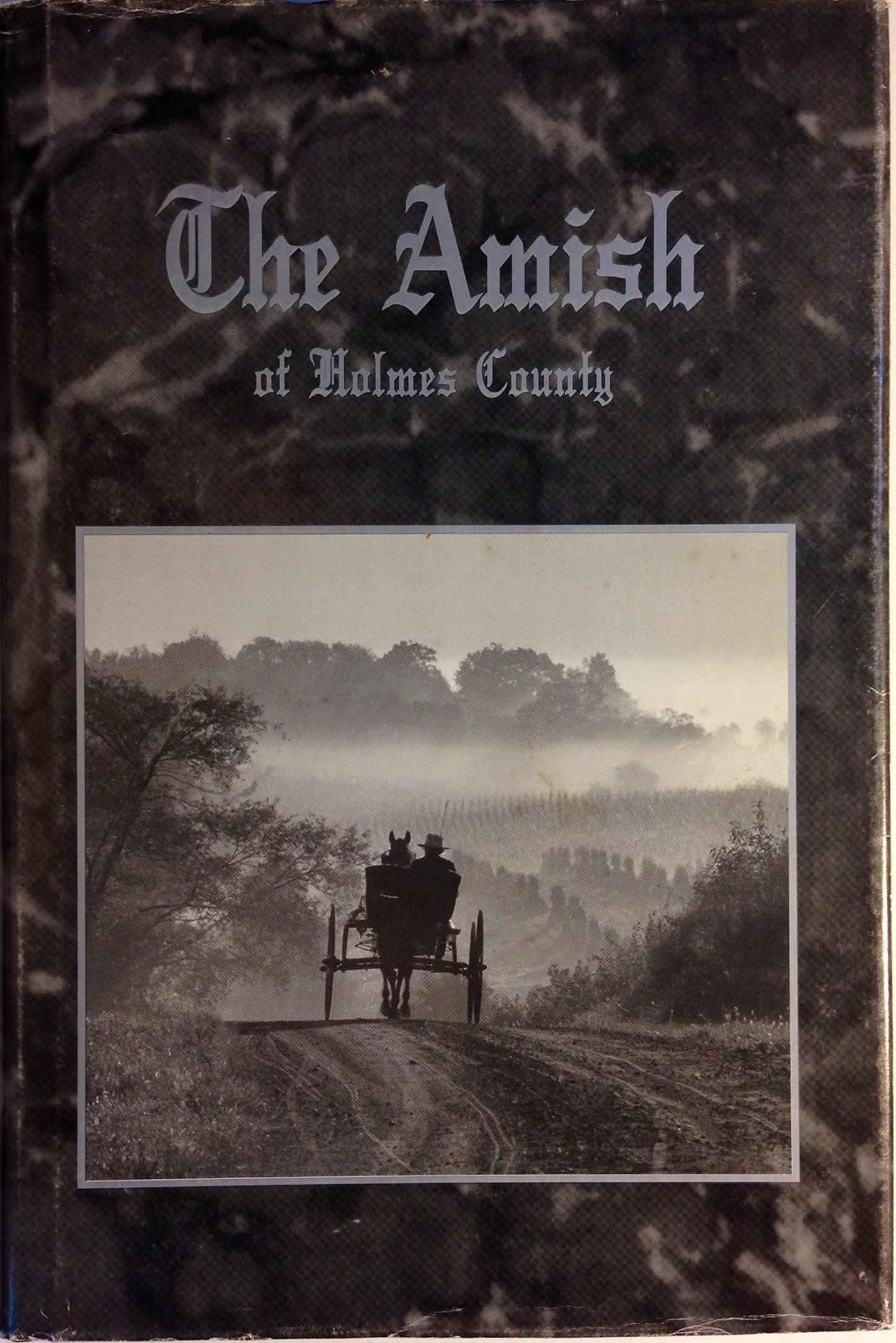 The Amish of Holmes County: A culture, a religion, a way of life book cover